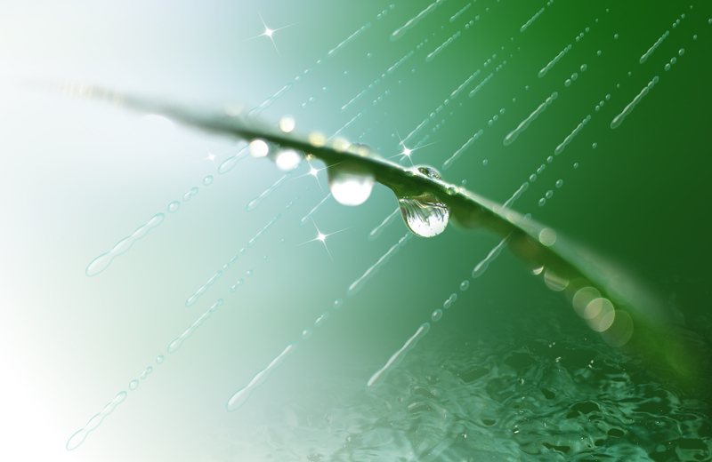 春雨绿叶高清背景素材，清新雨珠JPG图片，免费下载设计资源