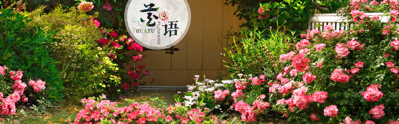 家纺Banner摄影图集，高清JPG/风景PSD素材，免费下载