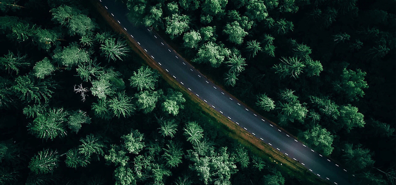 森林公路高清背景图，JPG格式风景摄影素材，免费下载