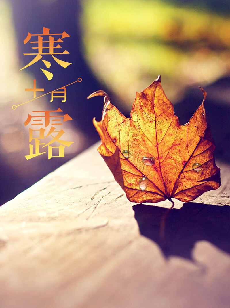 唯美枫叶寒露海报PSD/JPG素材，高清摄影风景，简约设计，一键下载