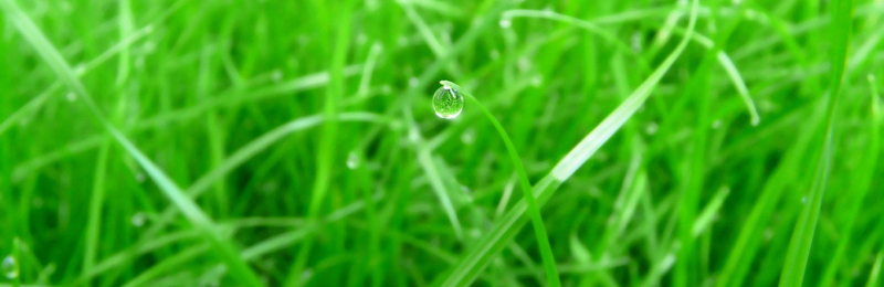 天猫淘宝精选，高清JPG banner背景图片，摄影风景素材下载