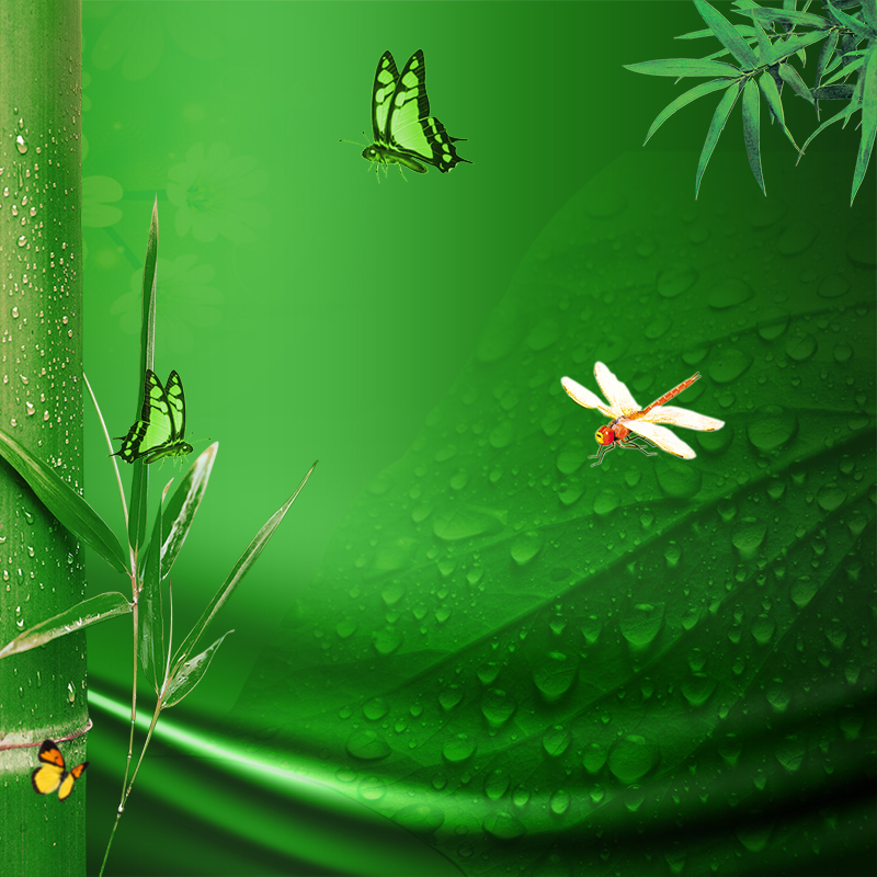 端午节绿色水珠竹子高清摄影，JPG/PSD格式设计素材下载