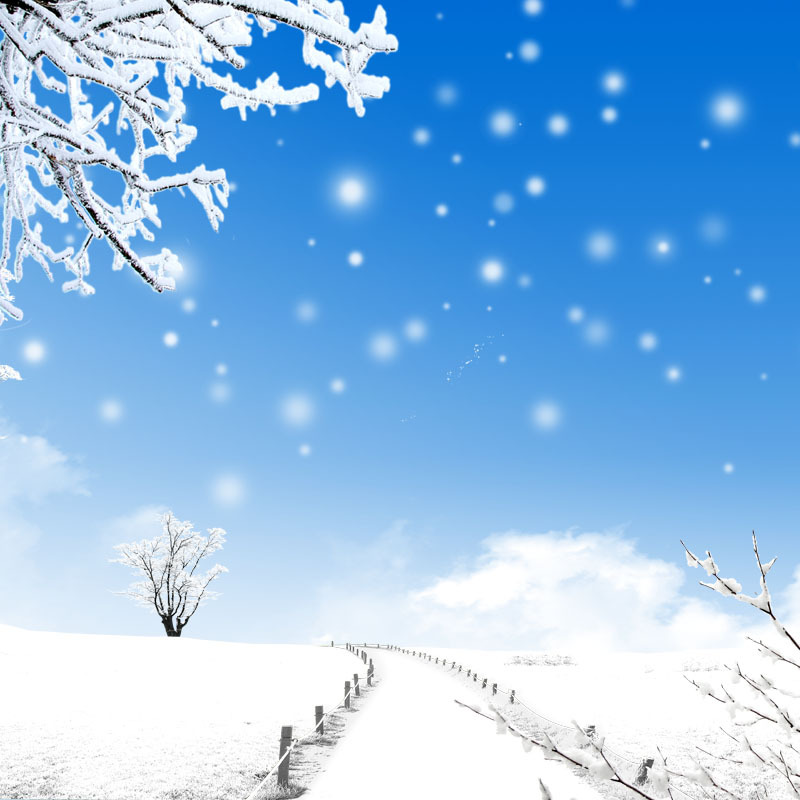 冬季雪景摄影美图，高清JPG/PSD格式设计素材下载