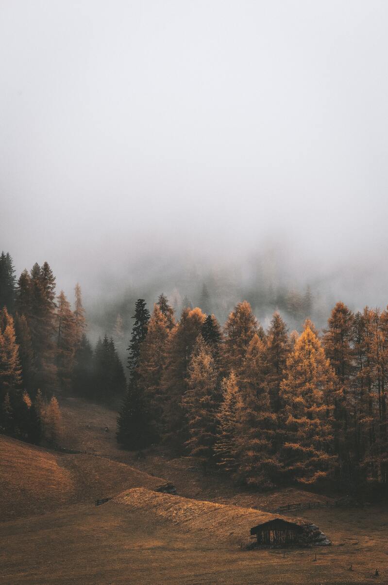 秋色山林风光，高清JPG摄影图片，精美风景素材免费下载