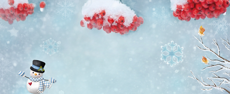 清新腊梅雪景摄影，蓝色banner图片下载，高清JPG/PSD设计素材