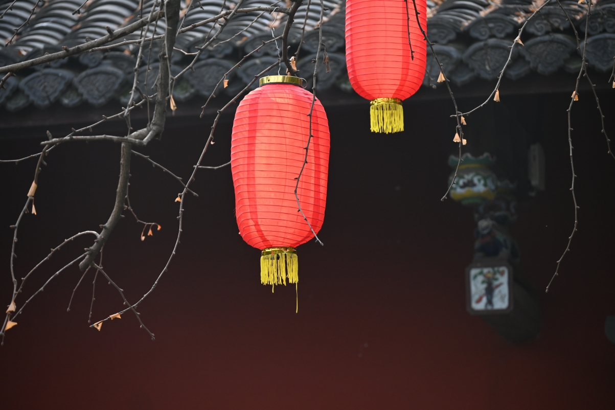 春节风情，灯笼点缀树枝，古建筑瓦片生辉，高清5K风景壁纸惊艳下载