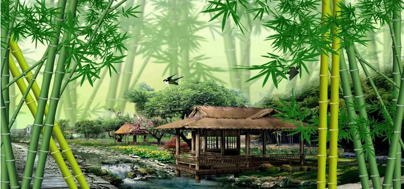竹子背景高清JPG图片，摄影美景素材，一键下载设计资源