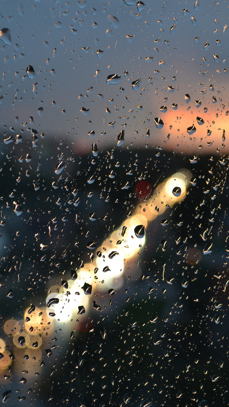 高清手机H5背景图，雨中景色摄影，JPG格式风景素材下载
