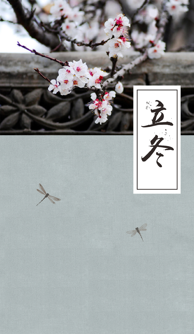 立冬文艺质感摄影插图，高清JPG风景图片素材，免费下载
