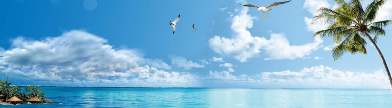 夏日海洋美景Banner高清JPG/PSD素材，免费下载