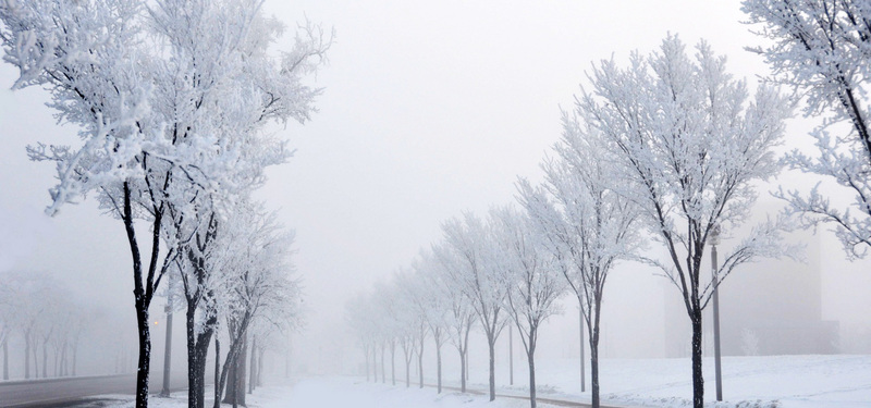 冬日雪景绝美JPG摄影作品，高清风景图片素材下载
