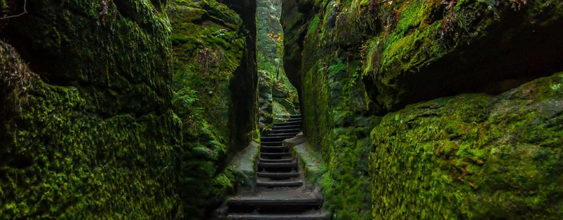 深山峡谷苔藓绝美背景，高清JPG摄影大图/风景设计素材下载