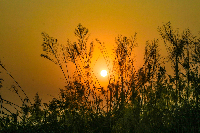 冬日黄昏，夕阳余晖高清JPG摄影素材，风景图片设计下载
