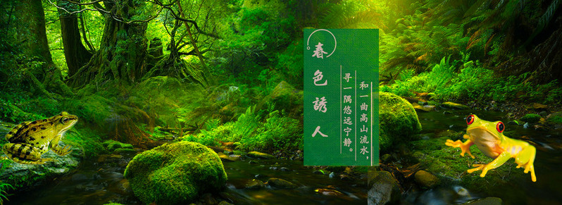 热带雨林绝美风光，高清JPG摄影/PSD设计素材下载