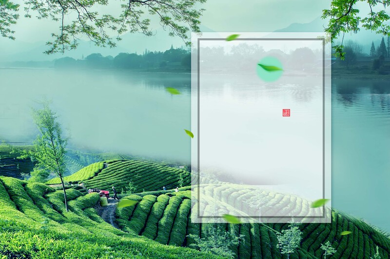 茶山茶叶高清海报背景，JPG/PSD格式设计素材，美景摄影免费下载