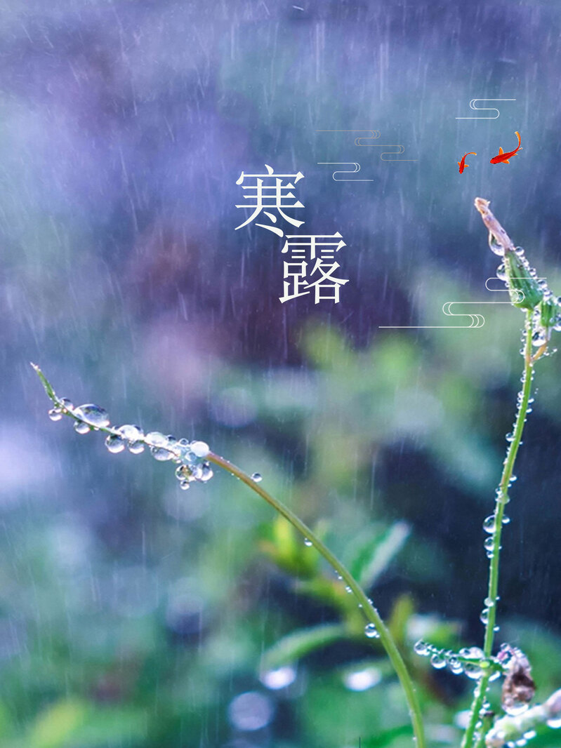 高清草露寒晨PSD海报背景，JPG风景摄影素材下载