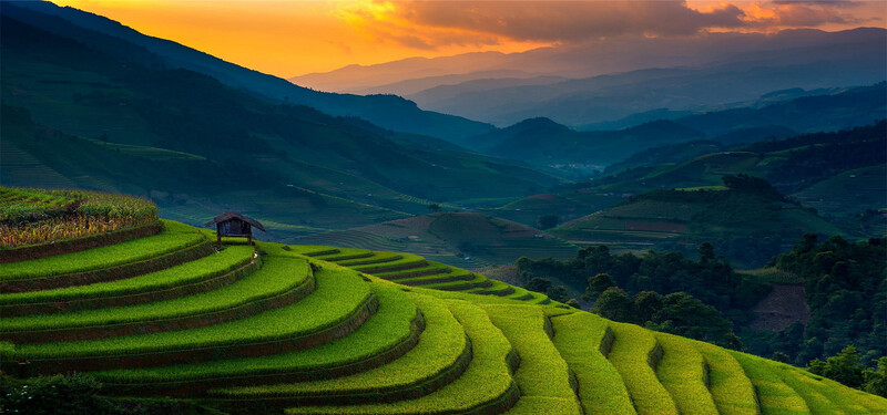 绿色梯田背景高清JPG摄影素材，风景图片设计下载专区