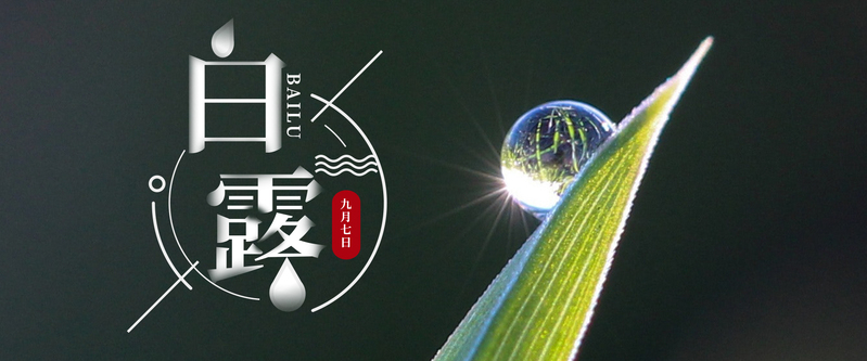 二十四节气白露唯美水珠海报，高清JPG/PSD设计素材，一键下载