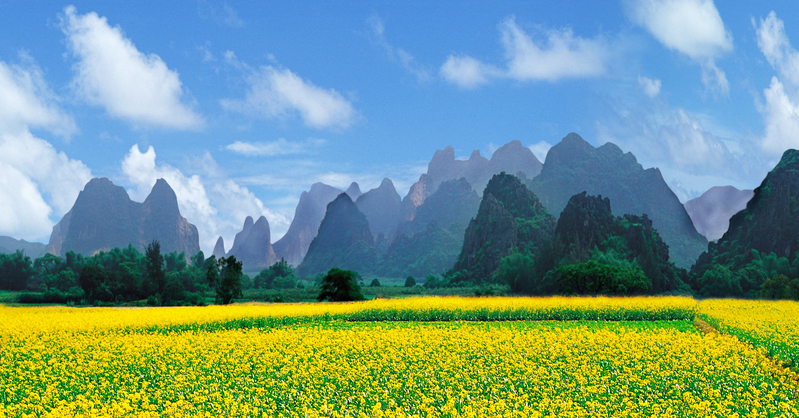 油菜花开满山原，高清JPG与PSD风景素材下载