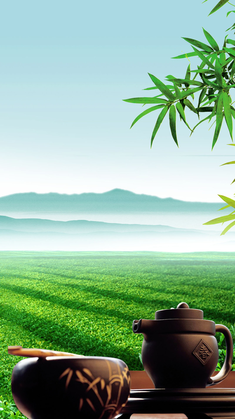 绿色茶叶PSD分层背景图，高清JPG摄影/风景设计素材免费下载