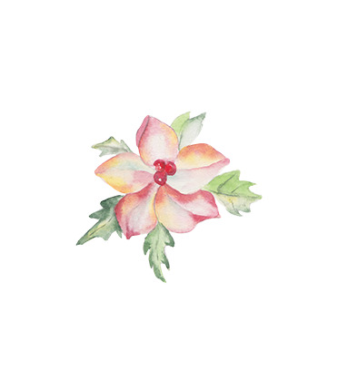 圣诞节手绘PNG素材，高清透明花纹，节日元素设计下载