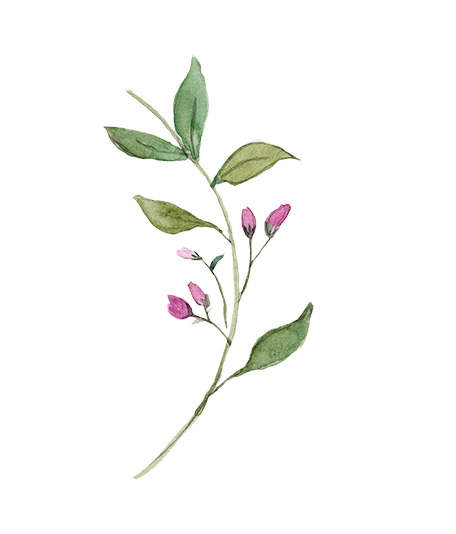 圣诞节手绘花纹素材，高清PNG透明图，节日元素丰富，一键下载设计素材
