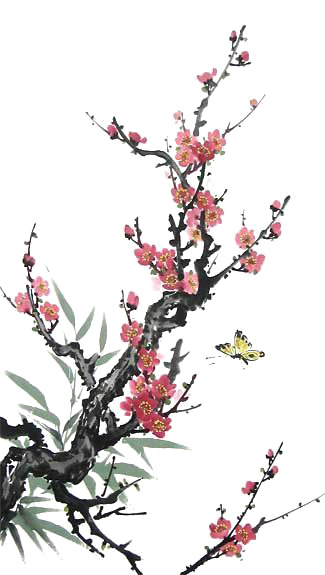 梅花PNG透明图，中国风装饰元素，高清素材免费下载