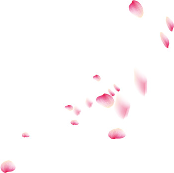 端午节PNG素材，粉色漂浮花瓣，中式文艺透明高清图片