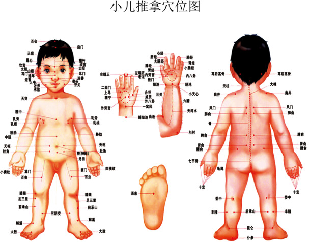 小儿推拿穴位图，高清PNG透明中国风装饰图片，免费下载素材