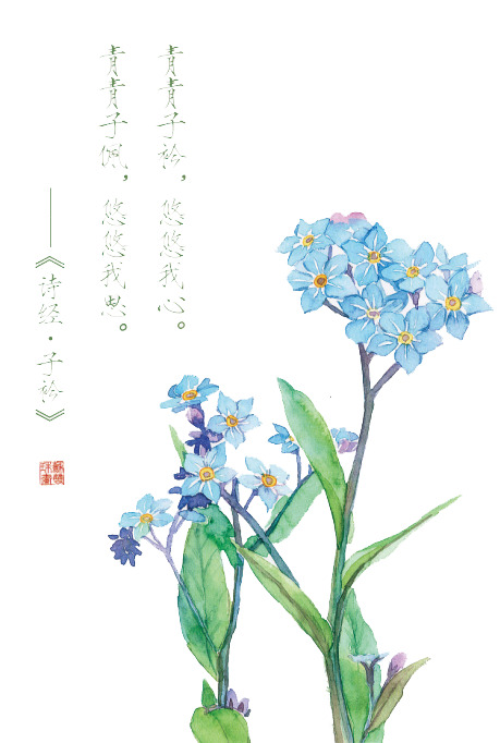 诗经花朵插画，高清PNG透明图，中国风装饰元素，设计素材下载