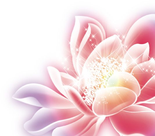中秋佳节荷花绽放，精选高清PNG透明图片，节日元素丰富，设计素材免费下载