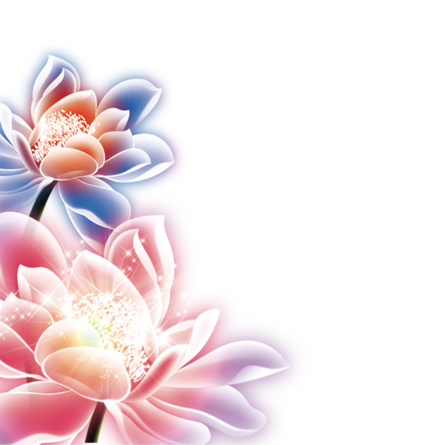 中秋节荷花PNG透明图片，高清节日元素，设计素材免费下载