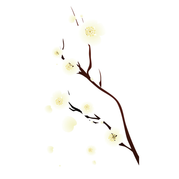 中国风装饰元素，高清透明PNG白色梅花图片，免费下载