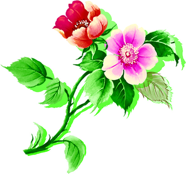 端午节彩色手绘花朵PNG素材，清新透明，高清下载
