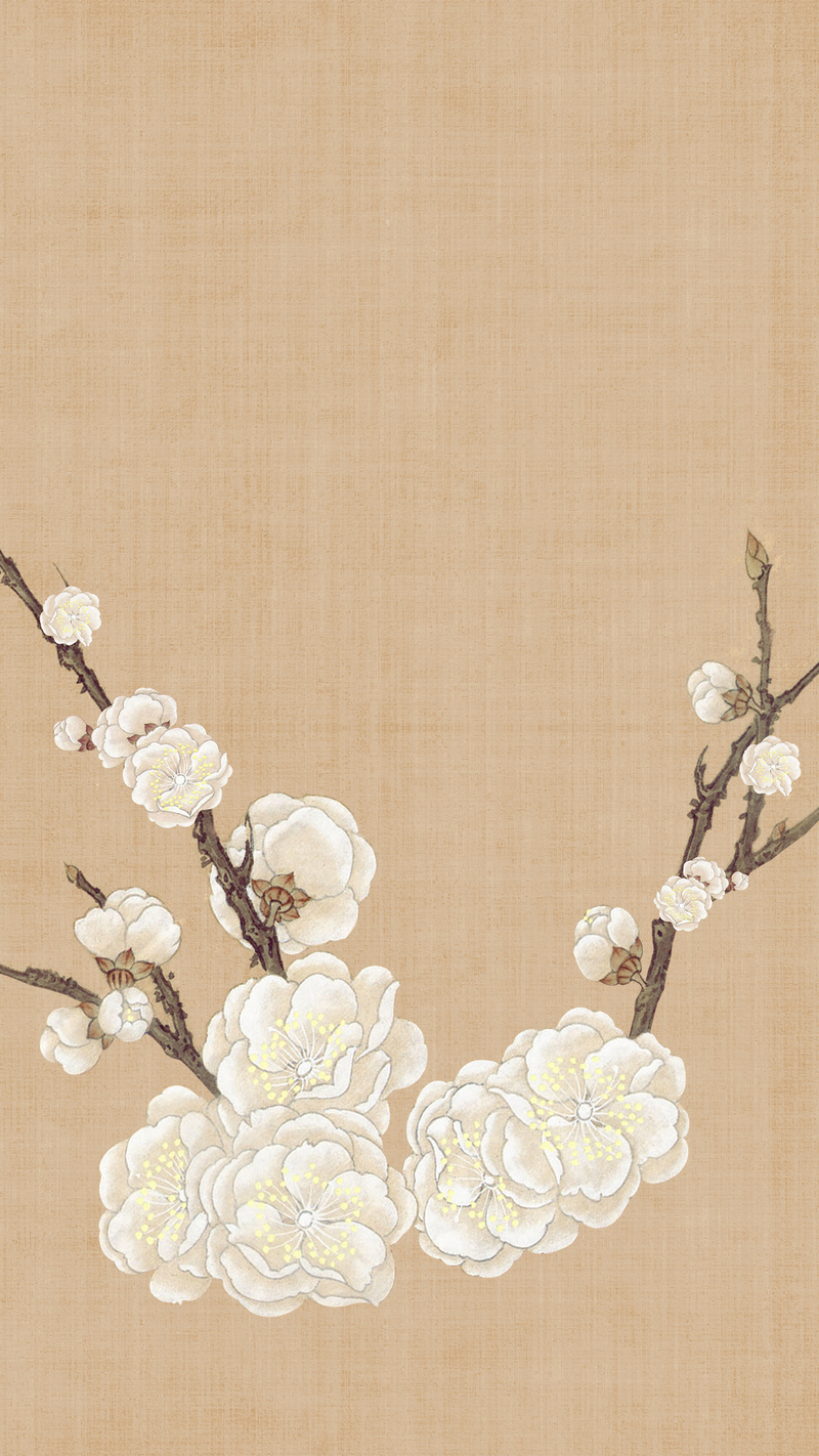 中国风白花工笔画H5背景素材，复古高清JPG图片，设计元素一键下载