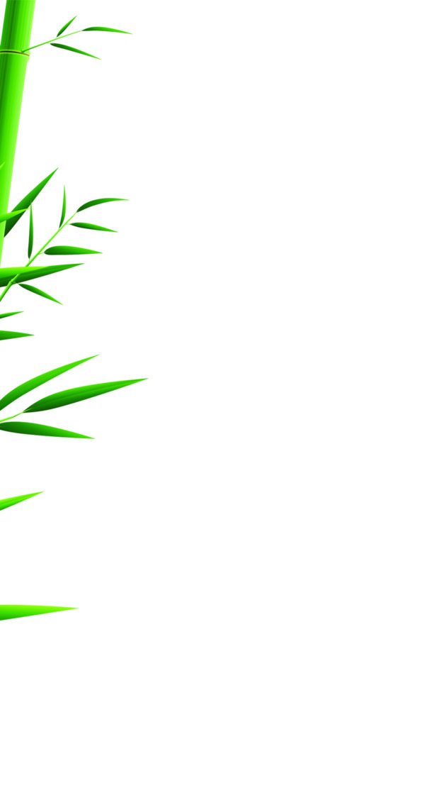 绿色卡通手绘竹子PNG透明图，端午节节日元素，高清设计素材下载