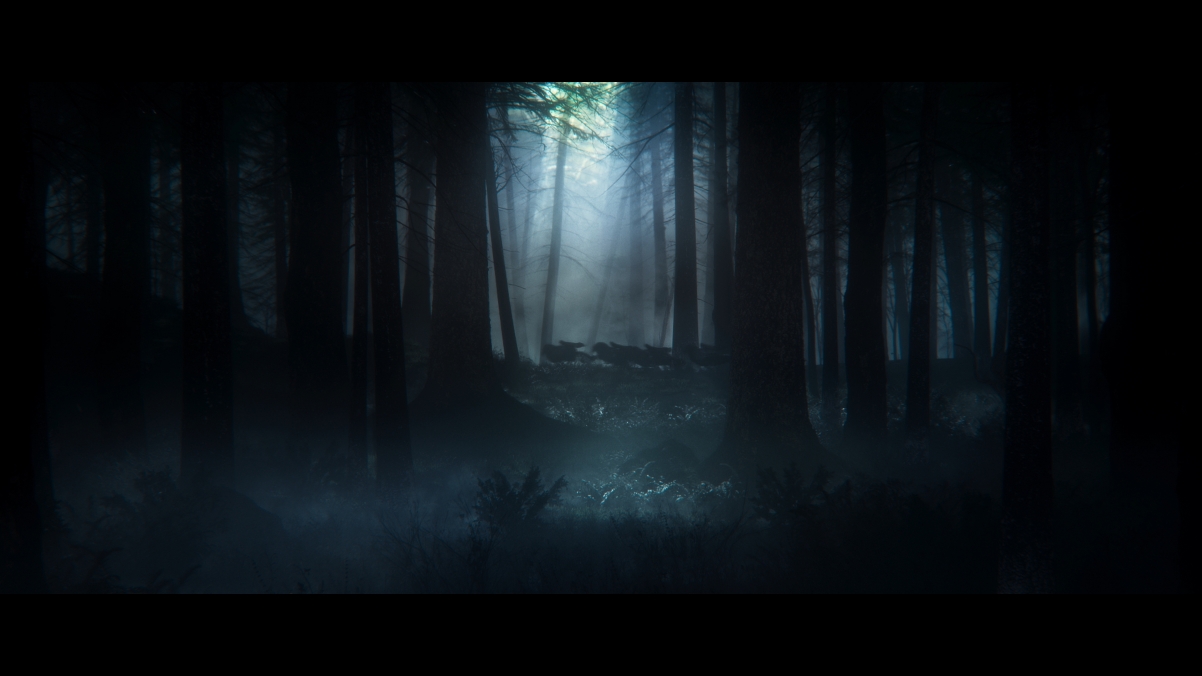 艾尔登法环，夜晚森林绝美风光，4K高清壁纸下载（3840x2160）