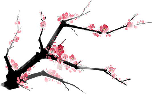 古风手绘梅花枝PNG素材，高清透明，装点中国风设计之美