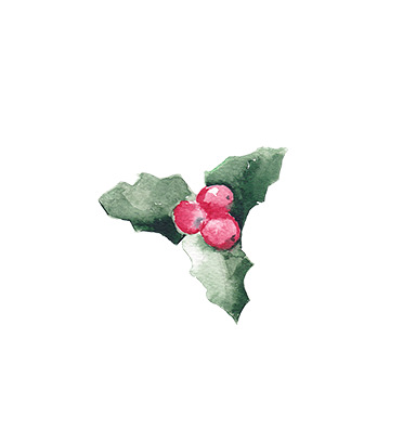 圣诞节手绘花纹PNG素材，高清透明节日元素，设计下载首选