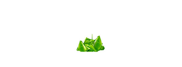 端午节高清PNG粽香Banner，透明图片素材，节日元素设计下载