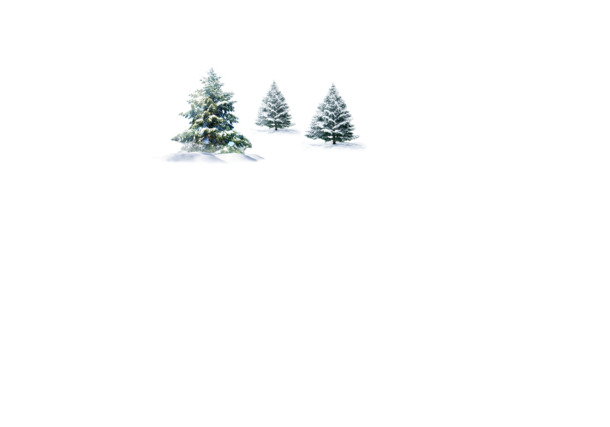 雪松松树雪景PNG透明图，圣诞节节日元素PSD设计素材下载