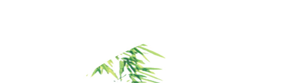 端午节竹枝高清PNG，透明图片素材，迎风飘扬，节日氛围浓