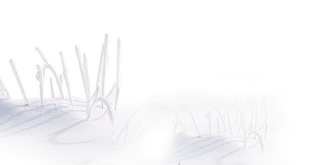 圣诞节高清PNG透明雪景素材，精美节日元素装饰图片，免费下载