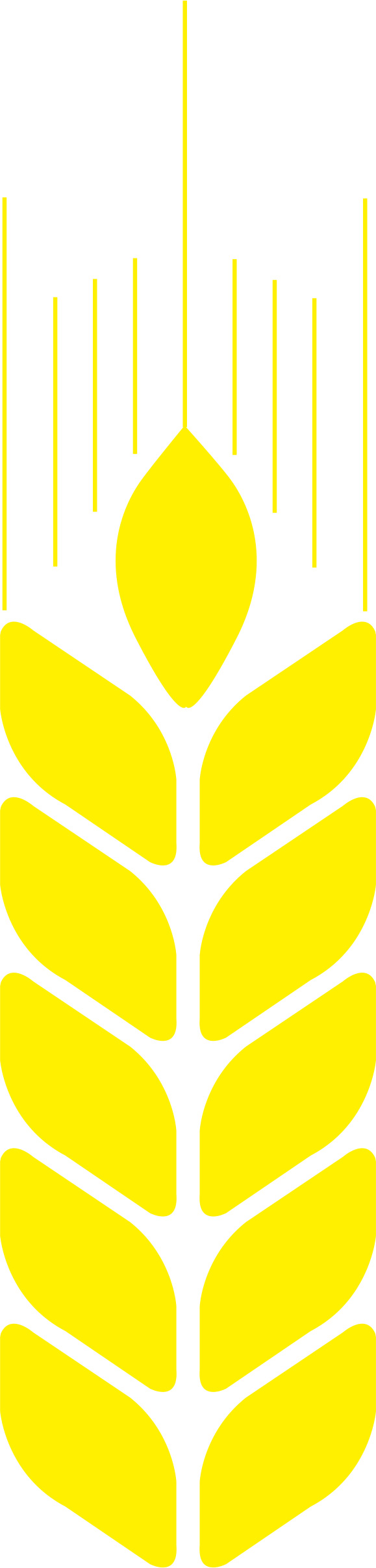 麦穗稻谷芒种节日元素，矢量高清PNG透明图片及CER格式设计素材下载