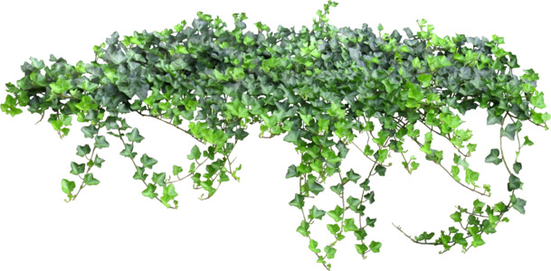 童话爬山虎PNG透明图，节日元素设计素材，高清下载