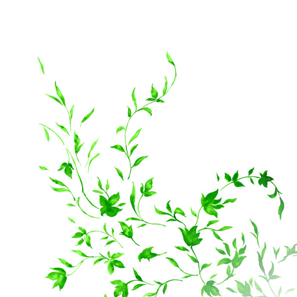 端午节绿色艺术花藤手绘树叶PNG透明图片，高清节日元素设计素材下载