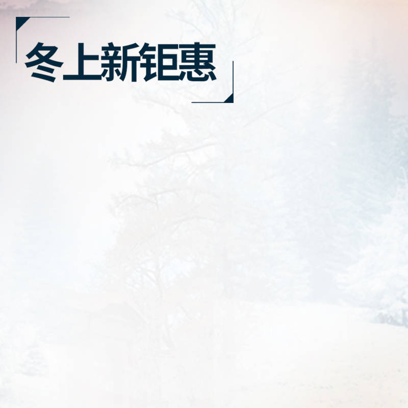 冬日狂欢大促，新钜惠雪花PSD分层主图，高清JPG电商素材下载