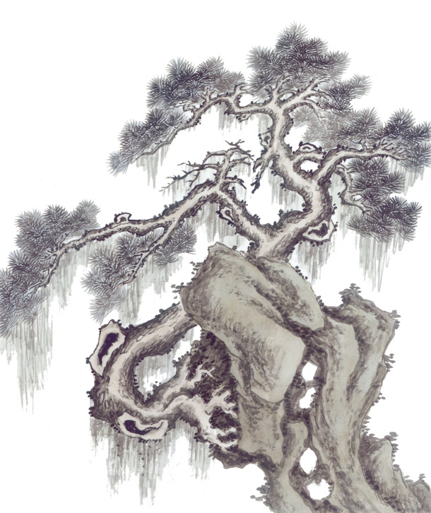 国画古松高清PNG透明图，中国风装饰元素，设计素材免费下载