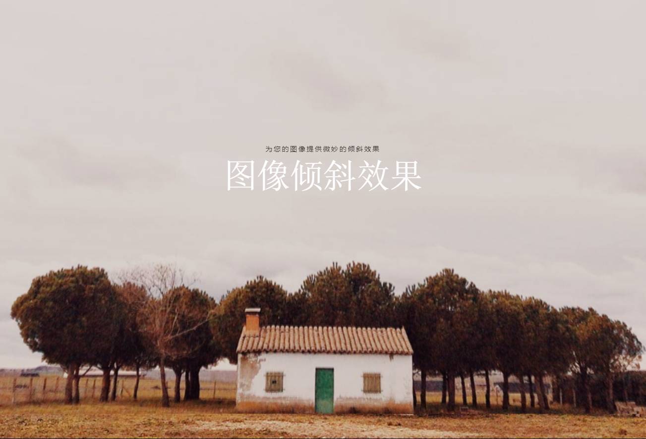 炫酷的CSS3图像倾斜效果网页特效