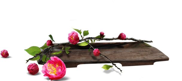 粉色鲜花PNG素材，端午节节日元素，高清透明图片下载